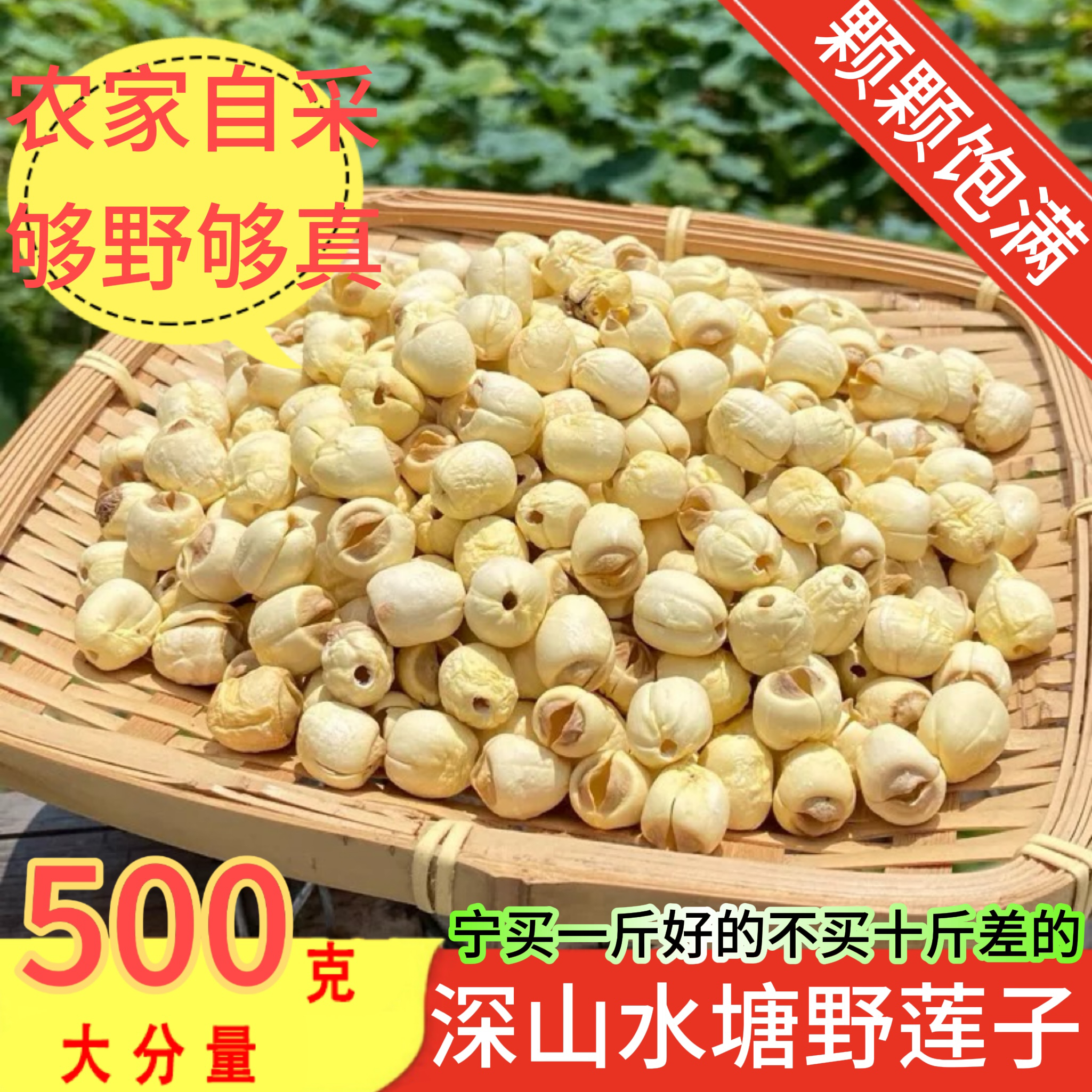 野生莲子干货500g去芯莲子磨皮无心白莲子新鲜寸三莲银耳百合羹汤