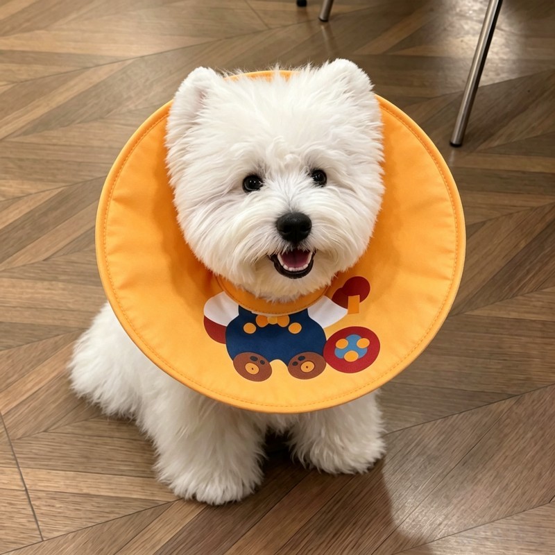 伊丽莎白圈防舔狗狗小型犬舒适圈术后绝育耻辱圈咬脖圈头套可调节