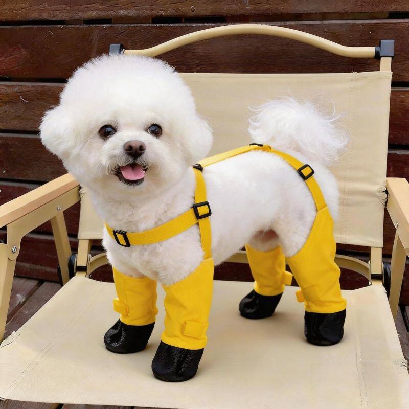宠物狗狗外出防尘裤新款防尘遛弯防脏轻薄四脚裤中小型犬护腿腿套