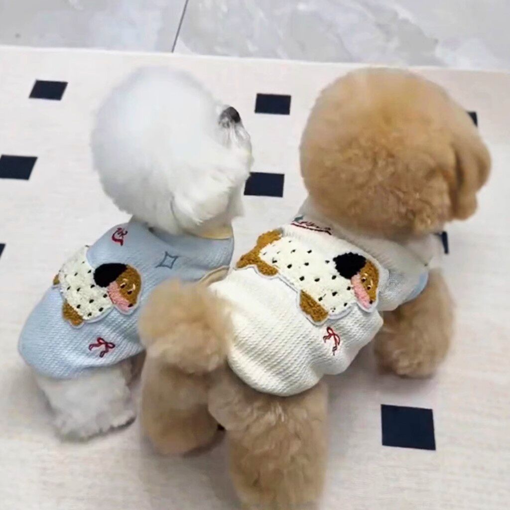 宠物小狗比熊衣服春夏新款可爱彩色腊肠狗背心带牵引扣服装泰迪犬