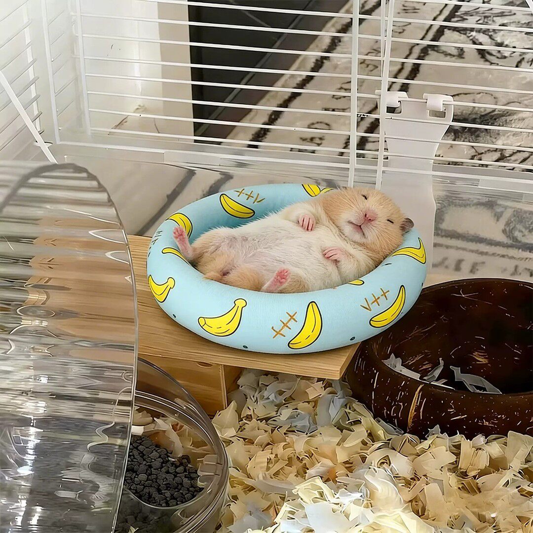 仓鼠窝垫子冰丝凉席金丝熊荷兰猪蜜袋鼯专用睡窝夏天降温神器圆形