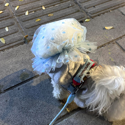 狗狗全脸透气防舔防误食嘴套