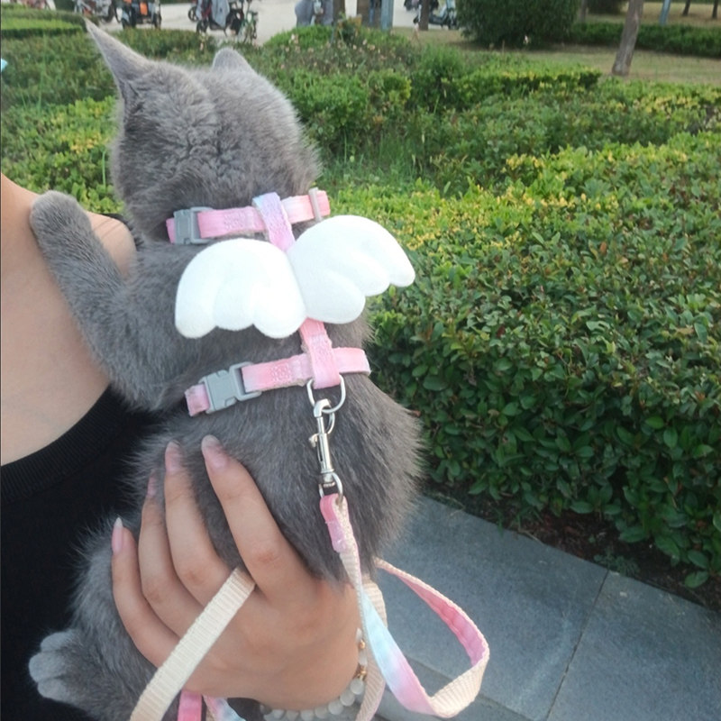 猫咪牵引绳可调节遛猫绳子