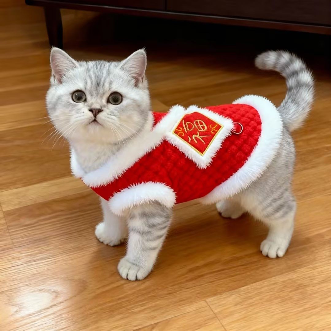 秋冬新年宠物绒衣猫狗通用新年装