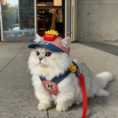 猫狗外出胸背牵引遮阳帽三件套