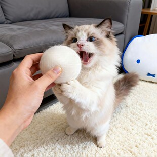 猫咪玩具静音羊毛球幼猫追逐自嗨解闷神器逗猫互动耐咬磨牙猎物球