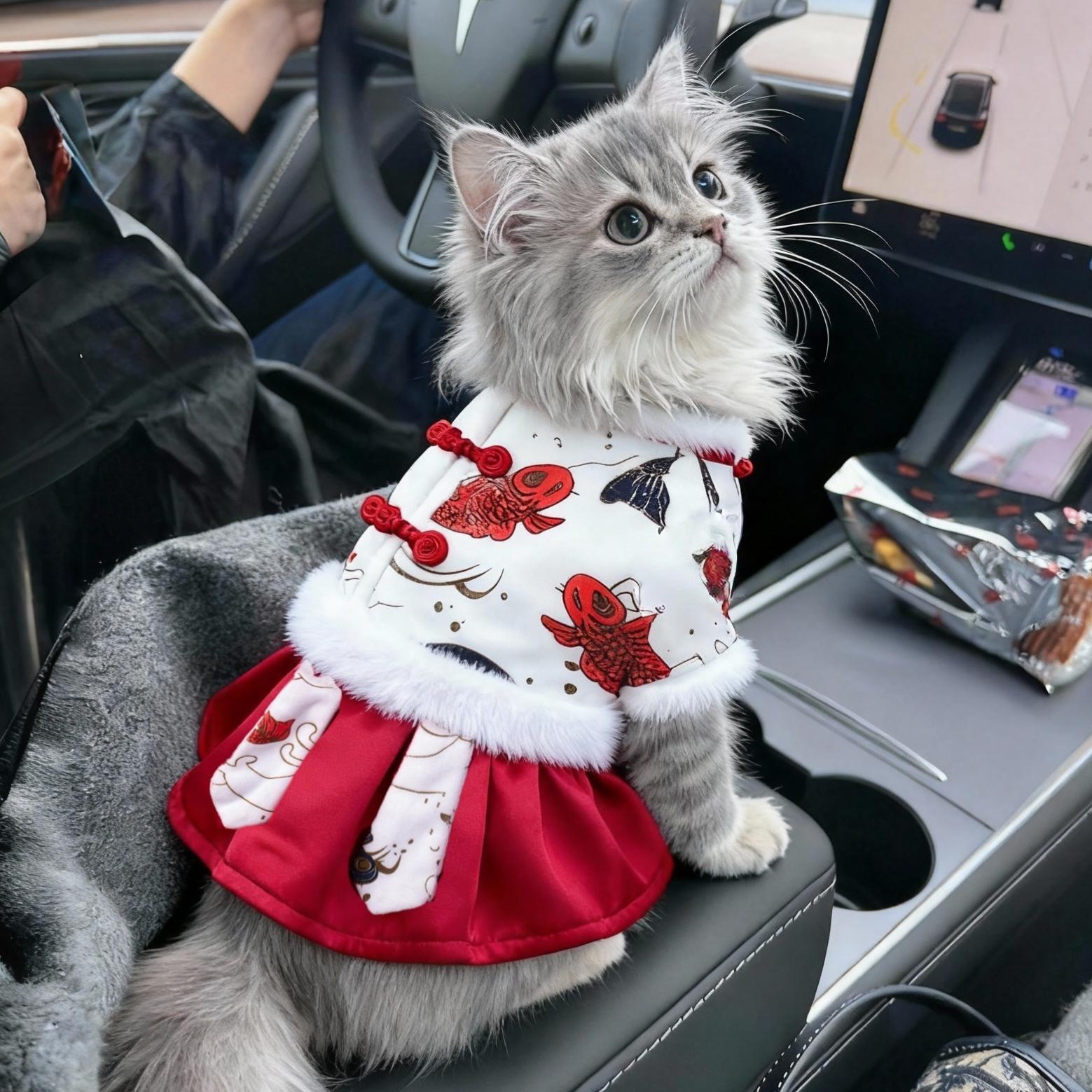 猫咪衣服新年装加绒保暖宠物衣服