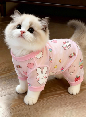 猫咪透气防掉毛四脚防晒衫
