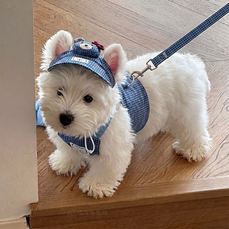 狗狗衣服宠物小狗比熊狗牵引绳胸背式遛狗绳小型犬夏季透气背带