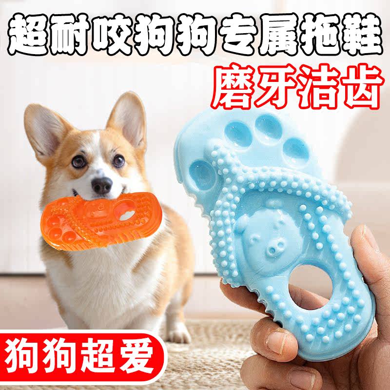 狗狗玩具耐咬磨牙拖鞋造型中小型犬金毛训练互动解闷宠物磨牙玩具