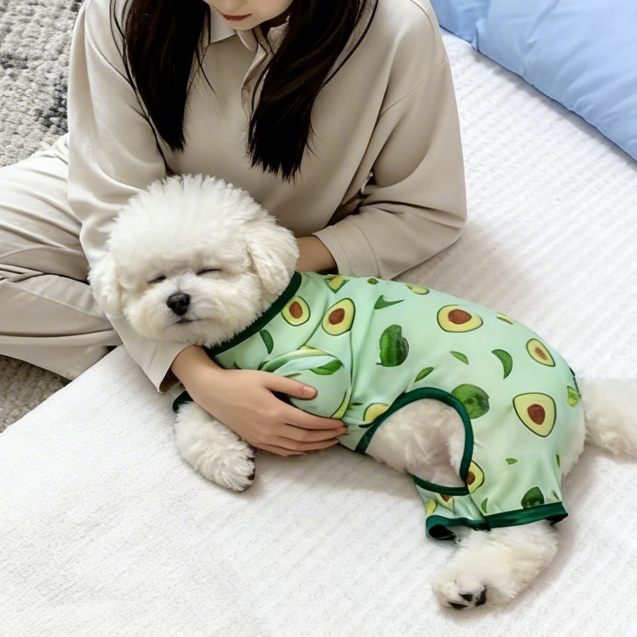 狗狗衣服比熊泰迪柯基春夏秋透气衣服亲肤材质牛油果卡通猫咪衣服