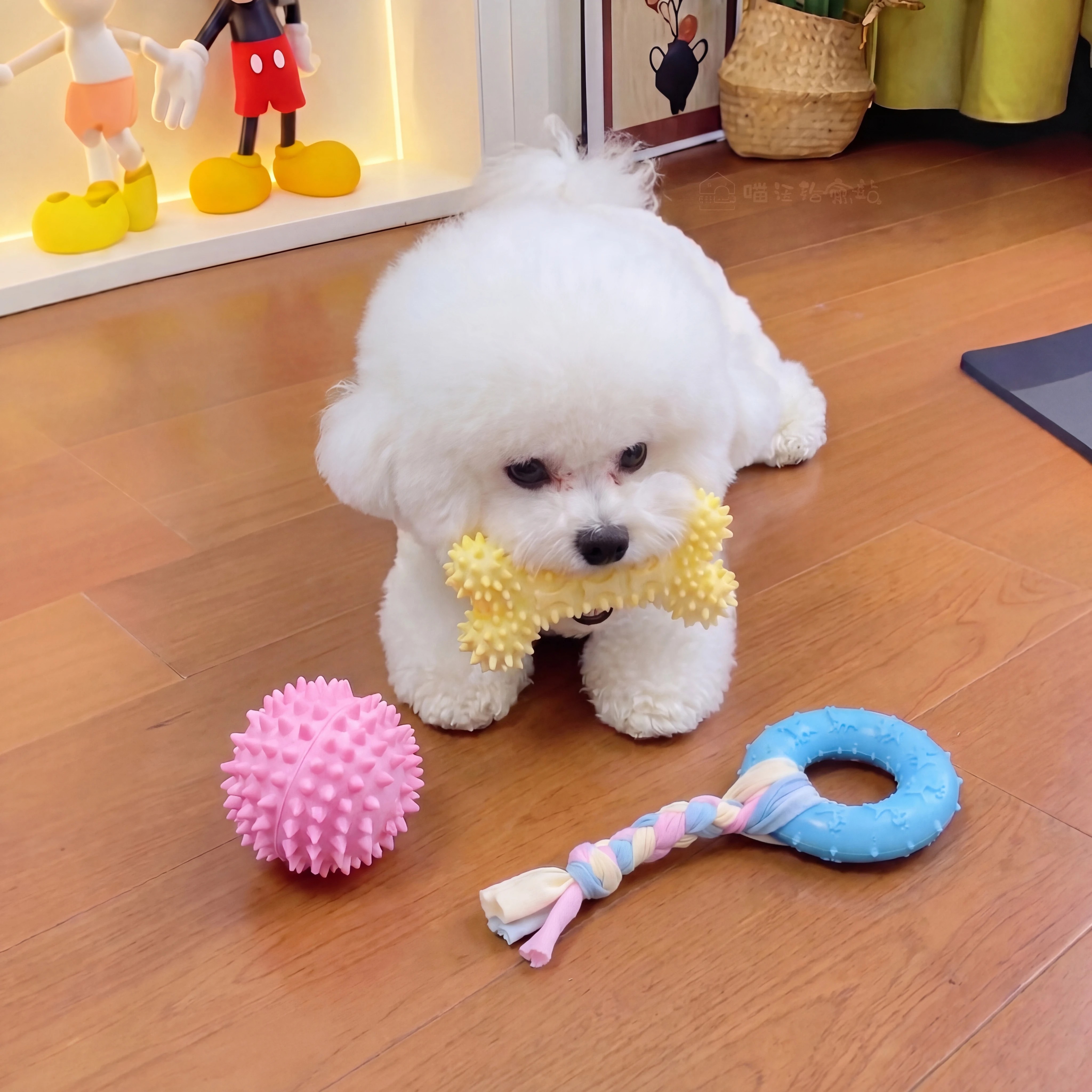 阿莫尔中小型犬耐咬磨牙橡胶球