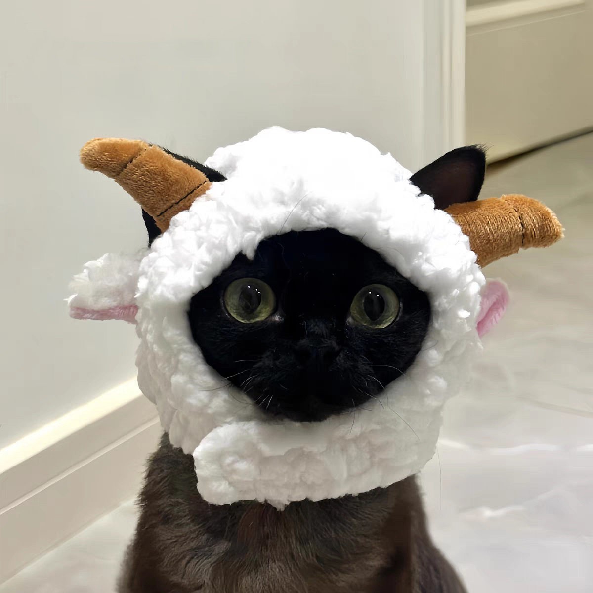 猫咪帽子宠物小羊毛绒头套装饰小型犬狗狗可爱绵羊帽拍照出片神器