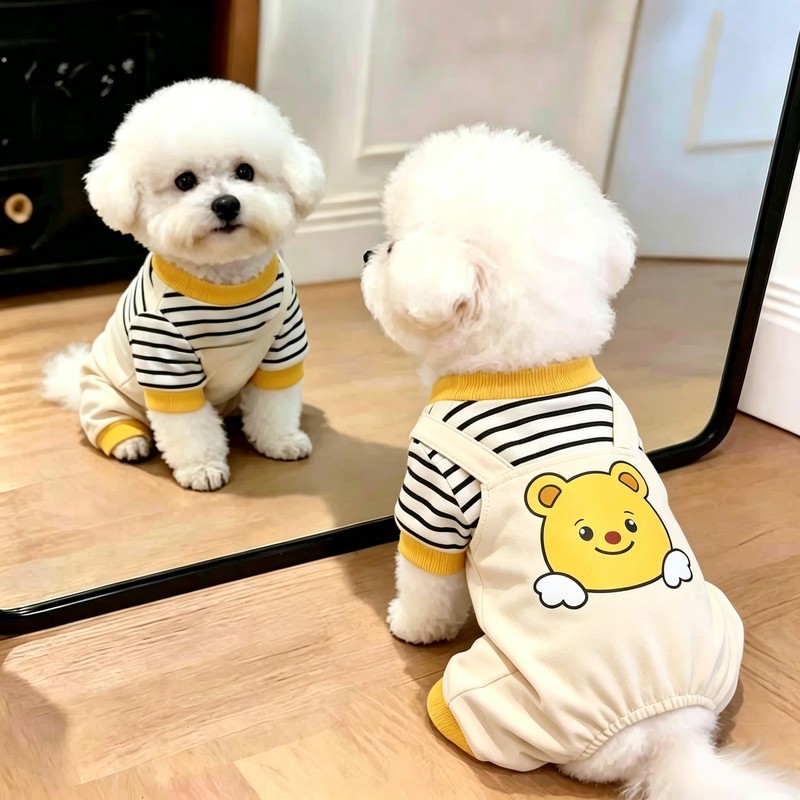 狗狗衣服春秋款可牵引四脚背带裤宠物泰迪比熊雪纳瑞中小型犬服装