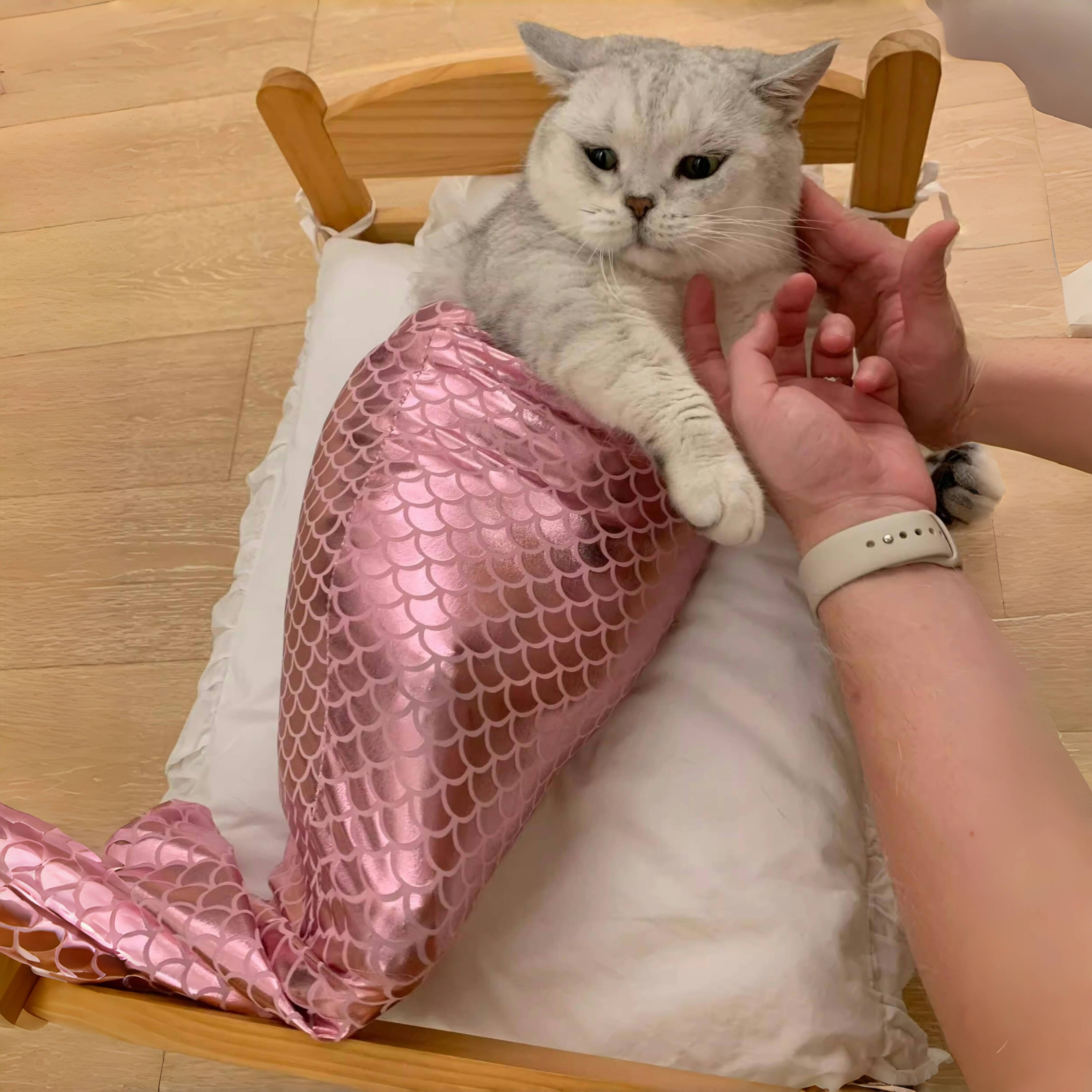 可爱猫咪美人鱼尾巴装饰配件