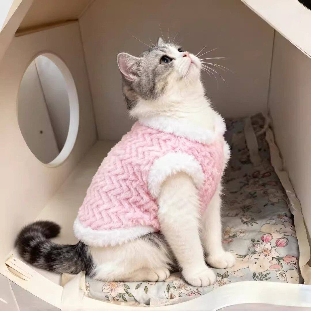 猫咪衣服针织麻花兔毛绒衣布偶英短橘猫小猫幼猫小奶猫狗狗秋冬装