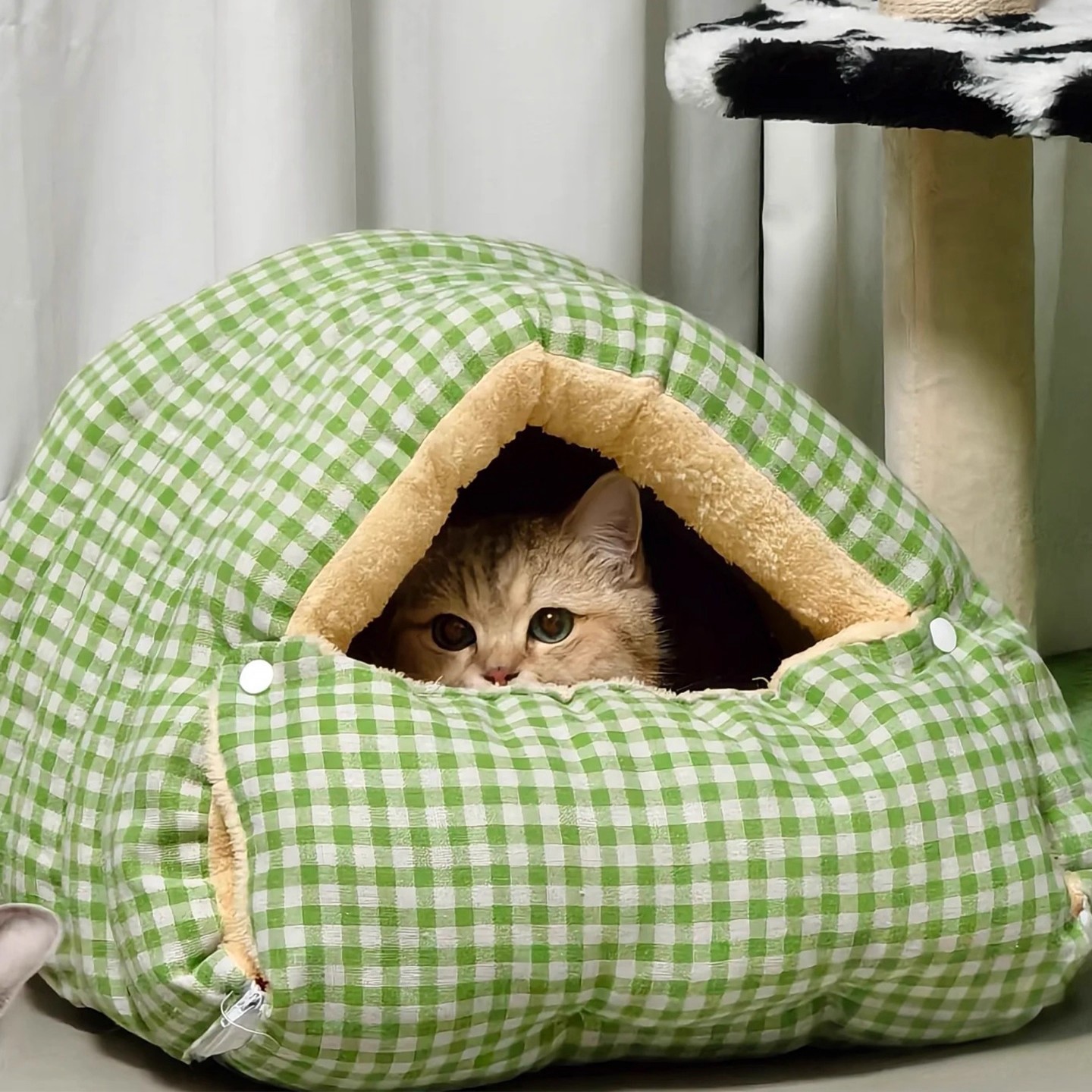 格子猫窝半封闭式保暖四季通用