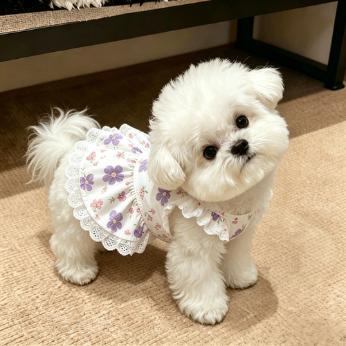 狗狗衣服夏季透气清凉飞袖宠物裙子泰迪比熊博美小型犬猫咪公主裙