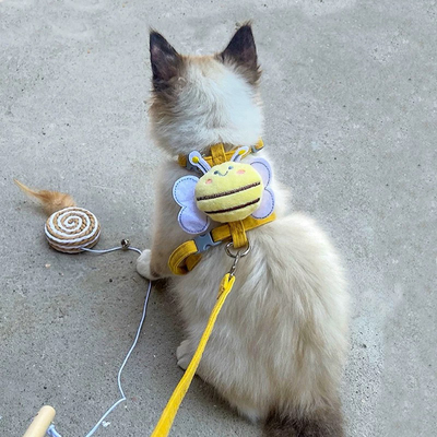 猫咪牵引绳外出可调节防脱