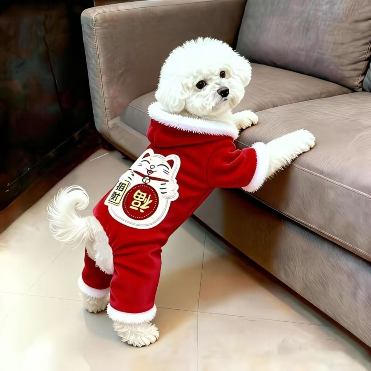 狗狗衣服新年装秋冬款招财猫四脚衣泰迪比熊博美猫咪衣服宠物衣服