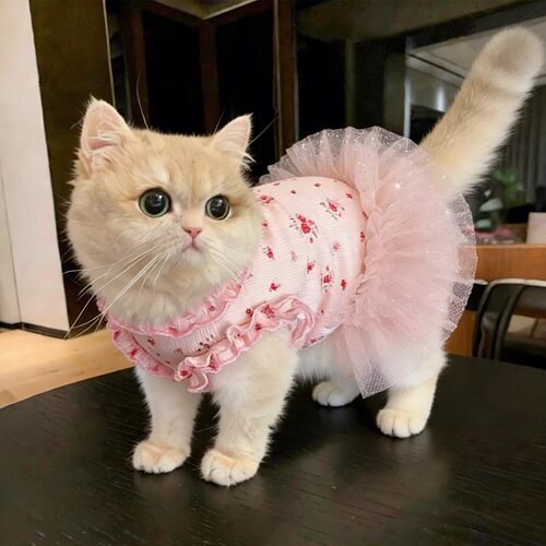 猫狗夏季薄款透气防晒公主蓬蓬裙