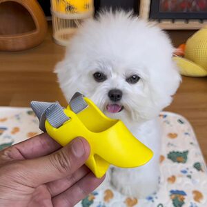 狗狗鸭嘴套防咬防叫防乱吃防毒中小型犬泰迪比熊柯基专用宠物嘴罩