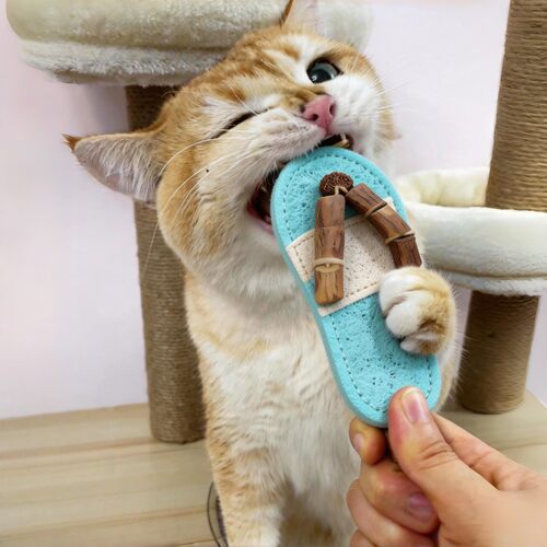 猫咪磨牙洁齿自嗨玩具丝瓜络玩具
