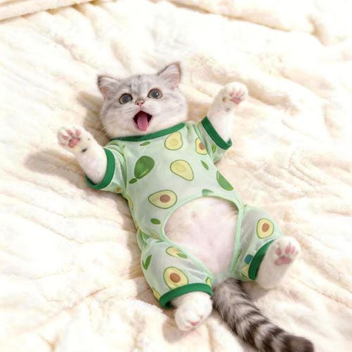 猫咪衣服夏季四脚衣牛油果小白兔宠物狗狗防晒衣透气外出网纱背心