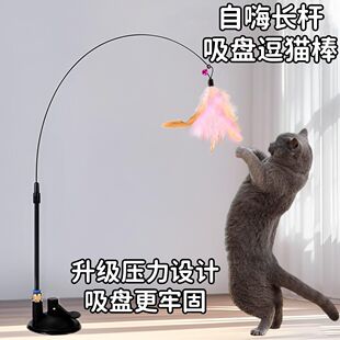 猫咪逗猫棒自嗨解闷笑脸挂门便携式带吸盘猫玩具弹力绳宠物用品