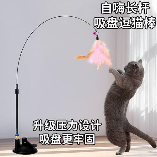 猫咪逗猫棒自嗨解闷笑脸挂门