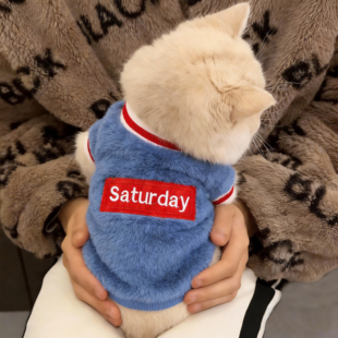 猫咪衣服秋冬装金渐层银渐层橘猫矮脚猫咪卫衣保暖衣服口袋熊绒衣