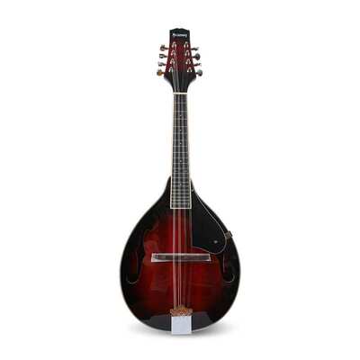 西洋乐器八弦琴电声吉他琴民族乐器初学入门民族乐器藏族曼陀铃琴