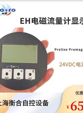 EH  Products for  53W系列 电磁流量计  显示屏模块  71007441
