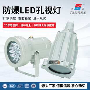 LED防爆视孔灯BSD反应釜视镜灯密闭容器探照灯照明内视灯射灯