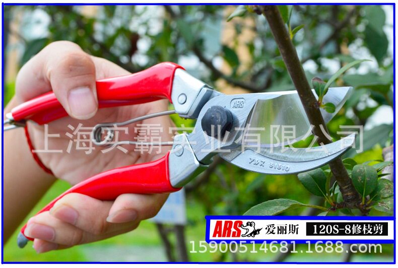 ARS爱丽斯花剪120S-8园艺进口家用工具修剪树枝剪刀果树花剪园林