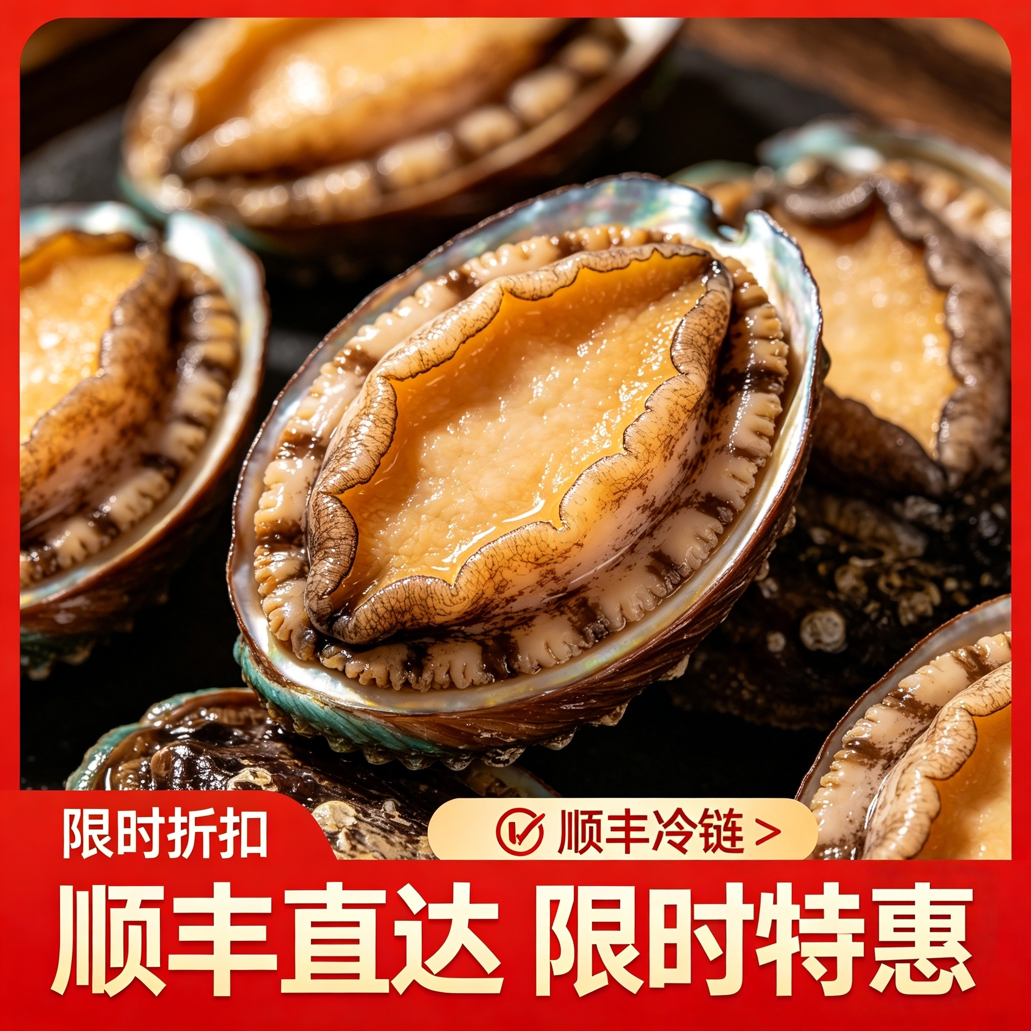 特级鲍鱼鲜活冷冻新鲜超大海鲜食材包装加热火锅500g福建