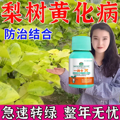 梨树锈病专用药菌铁梨子粉锈宁黄叶杀菌剂清铁锈果树病菌黑斑铁菌
