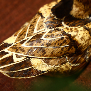 纯手工民间工艺笋壳编制玄关竹编鸭子茶宠礼品桌R面小摆件居家饰