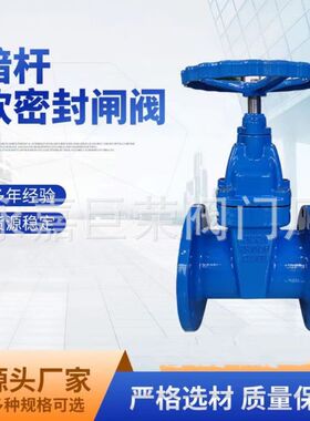 南高阀门 SZ45X-10Q加密锁闭闸阀 防盗式 材质球墨铸铁 耐腐蚀