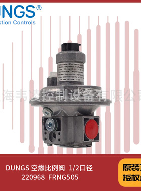 DUNGS 空燃比例阀  1/2口径 220968  FRNG505