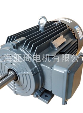 1TL0003-0DB22-1FA4-0.55KW-B5 电机BEIDE