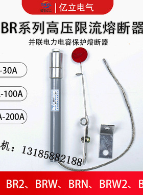 BRW-12KV并联电力电容保护用熔管BRN-10KV/30A 32A 34A高压熔断器