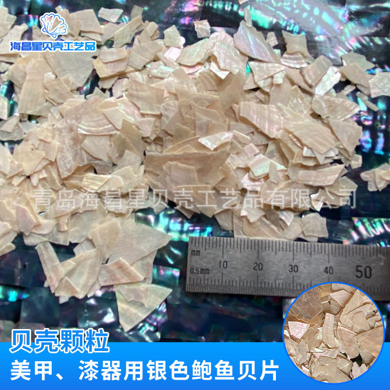 天然贝壳加工螺钿贝壳颗粒美甲装饰品贝壳片diy材料银色鲍鱼贝片