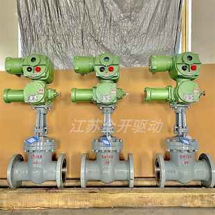 智能一体式 MZ941H 电动闸阀 DN250矿用隔爆型法兰式 带485通讯 64C