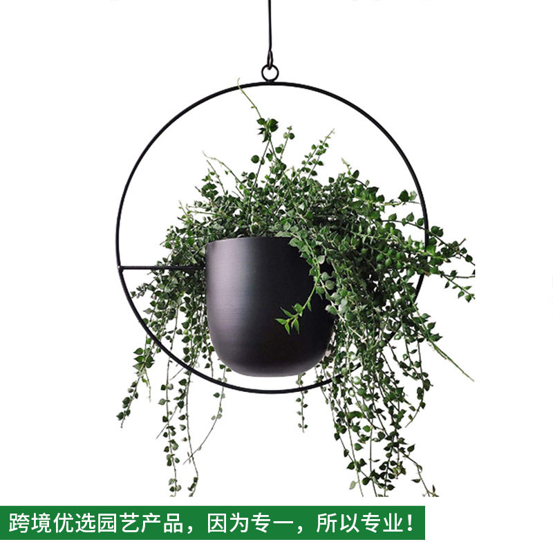 创意圆形可爱垂吊式圆形铁艺花盆架 吊篮绿萝藤蔓植物花盆架2件装