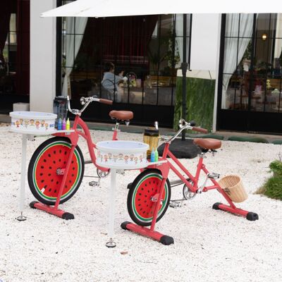 成人款EXI榨汁旋转艺术自行车搅拌机冰沙健身器自行车旋转自行车