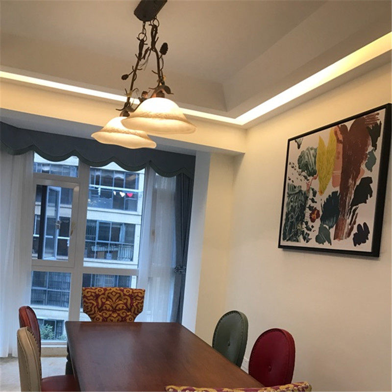 简约现代美式田园风吊灯创意个性客厅卧室餐厅灯双头树枝小鸟吊灯