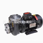 HEAT PUMP热油泵AD AODE RGP 模温机水泵