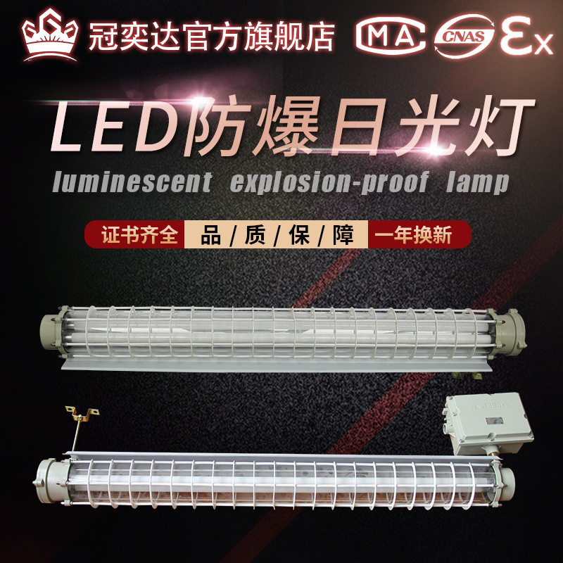 LED防爆灯荧光灯隔爆型单管双管车间厂房仓库灯罩灯管日光支架灯
