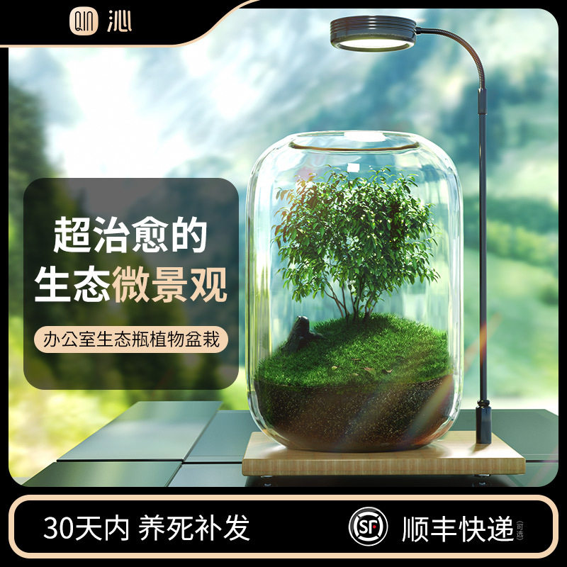 办公室桌面生态瓶自循环微景观免打理微生态玻璃微观鱼缸空瓶造景